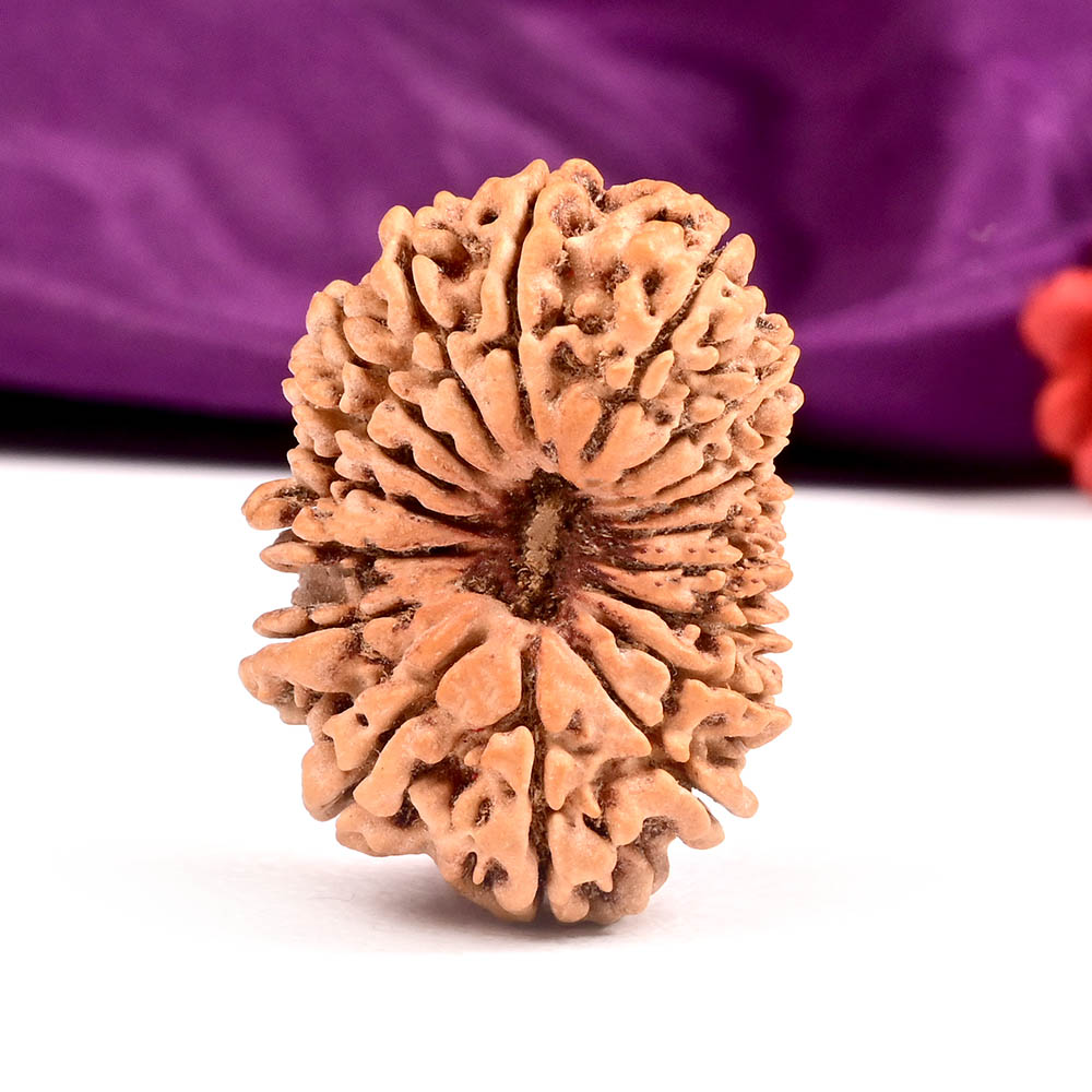 18 Mukhi Rudraksha