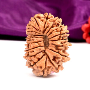 18 Mukhi Rudraksha