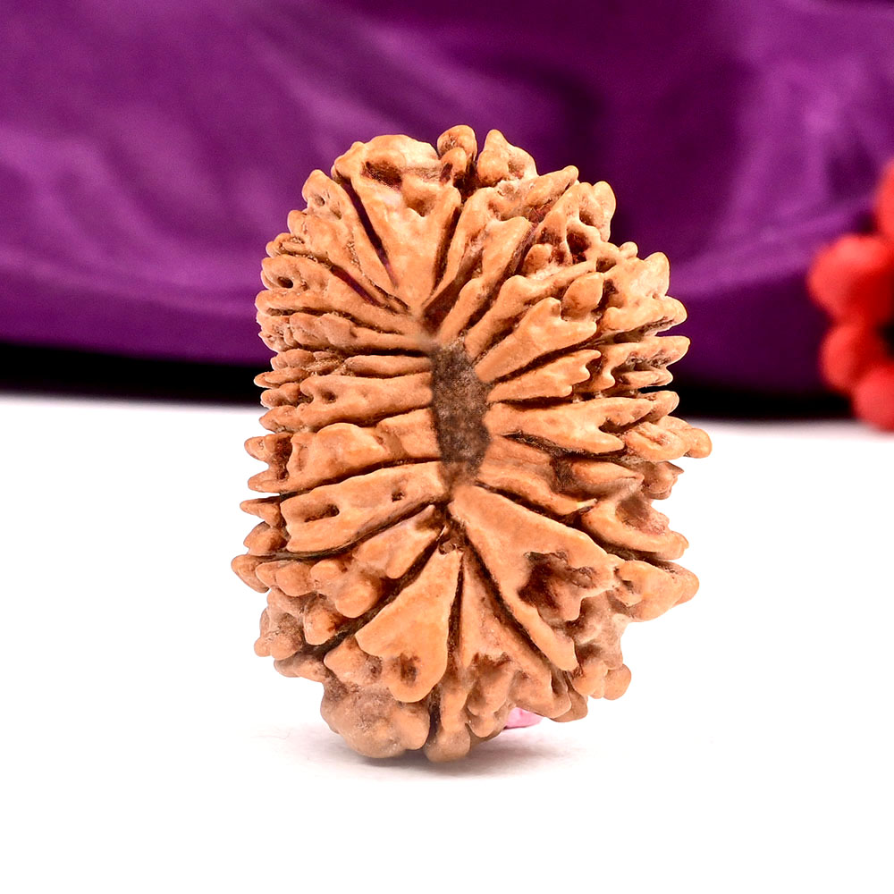 18 Mukhi Rudraksha